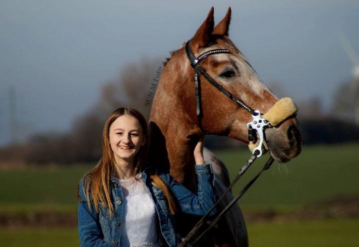 Knabstrupper Cassandra H billede 48