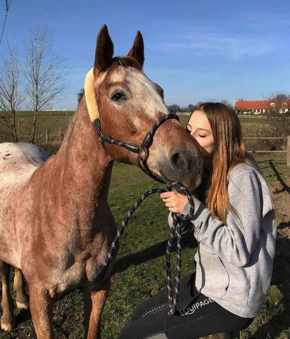 Knabstrupper Cassandra H billede 49