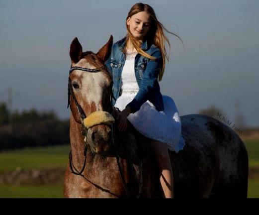 Knabstrupper Cassandra H billede 50