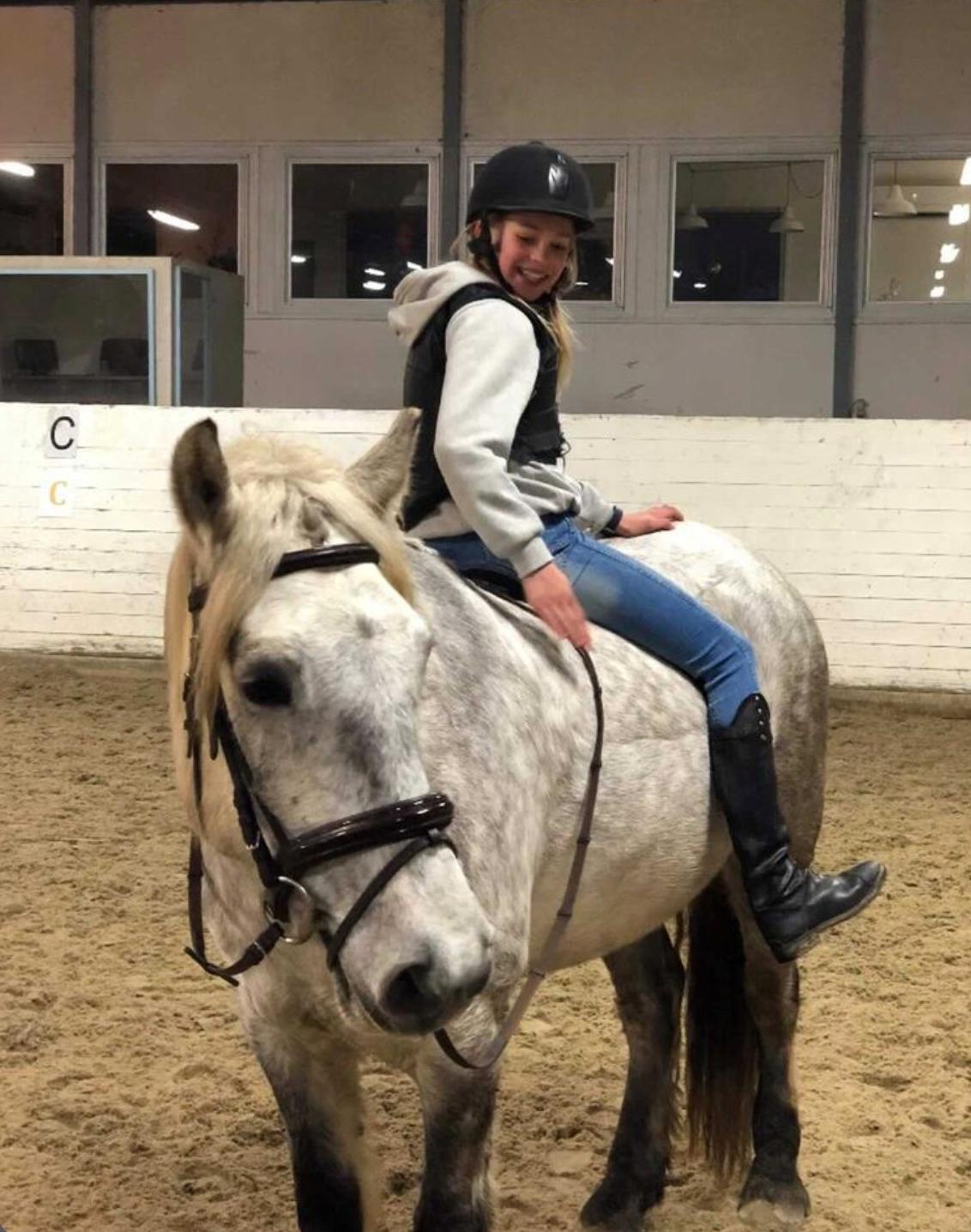 Connemara Macwilliam of cairnargat billede 1