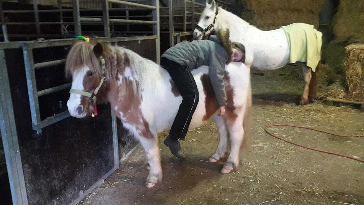 Anden særlig race Ilise billede 3