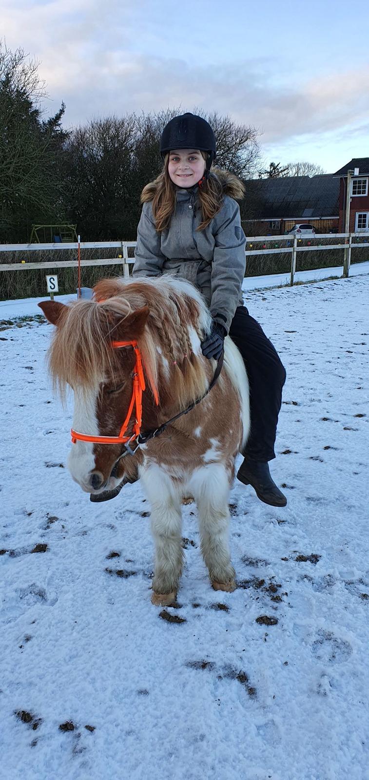 Anden særlig race Ilise billede 6