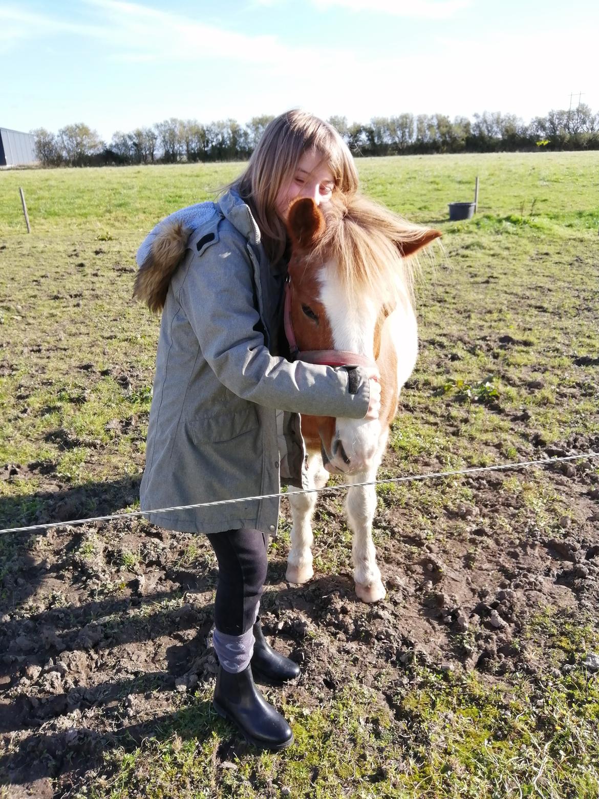 Anden særlig race Ilise billede 7