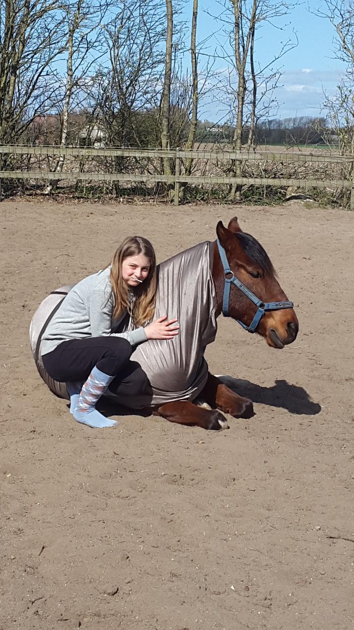 Anden særlig race Sultan billede 4