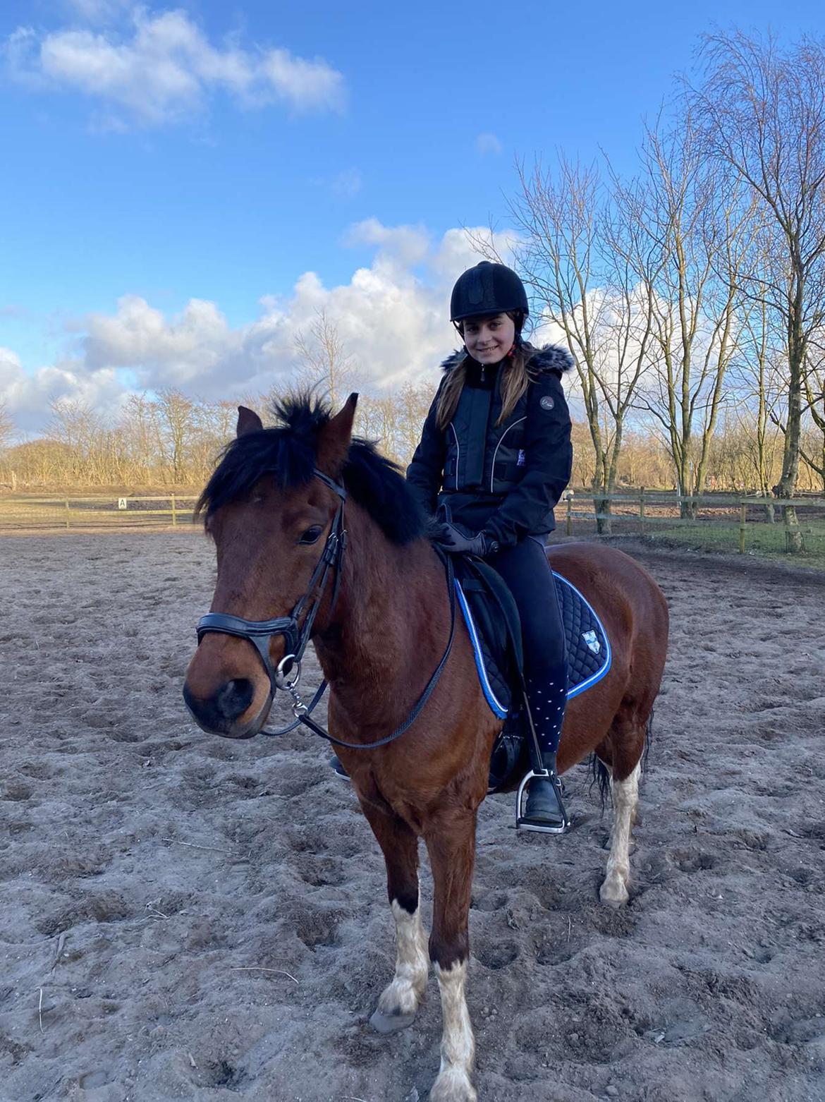 Anden særlig race Sultan billede 7