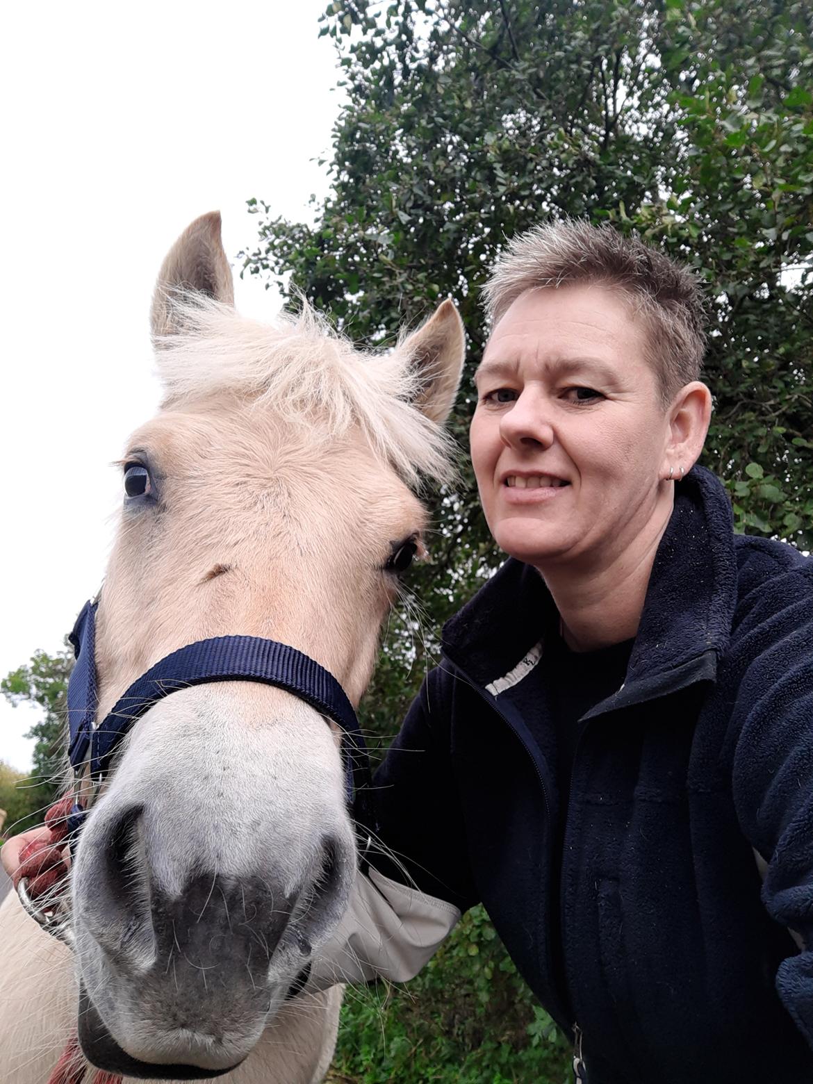 Fjordhest Oblings marco billede 7