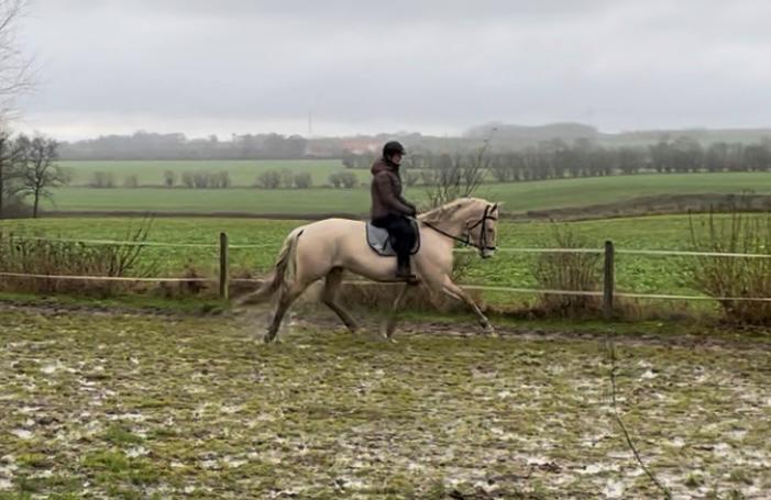 Frederiksborg Sia Fay billede 16