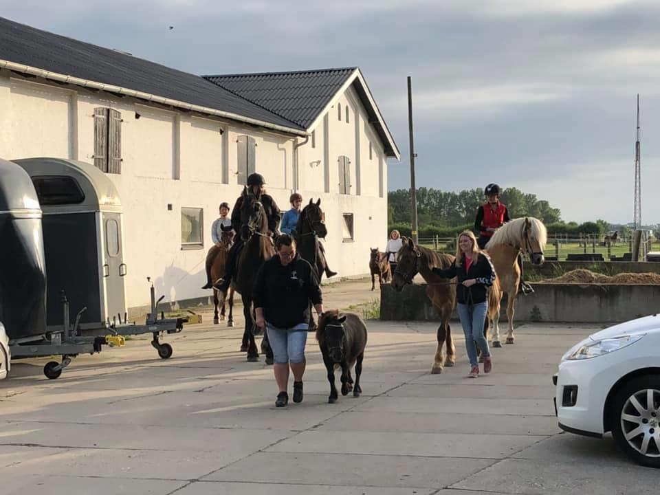 Anden særlig race Vidar billede 3