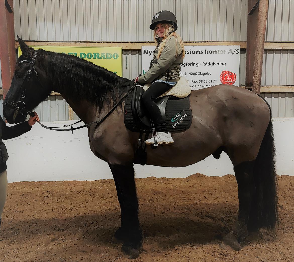 Anden særlig race Vidar billede 4