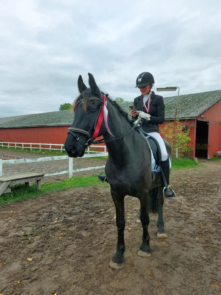 Anden særlig race Vidar billede 5