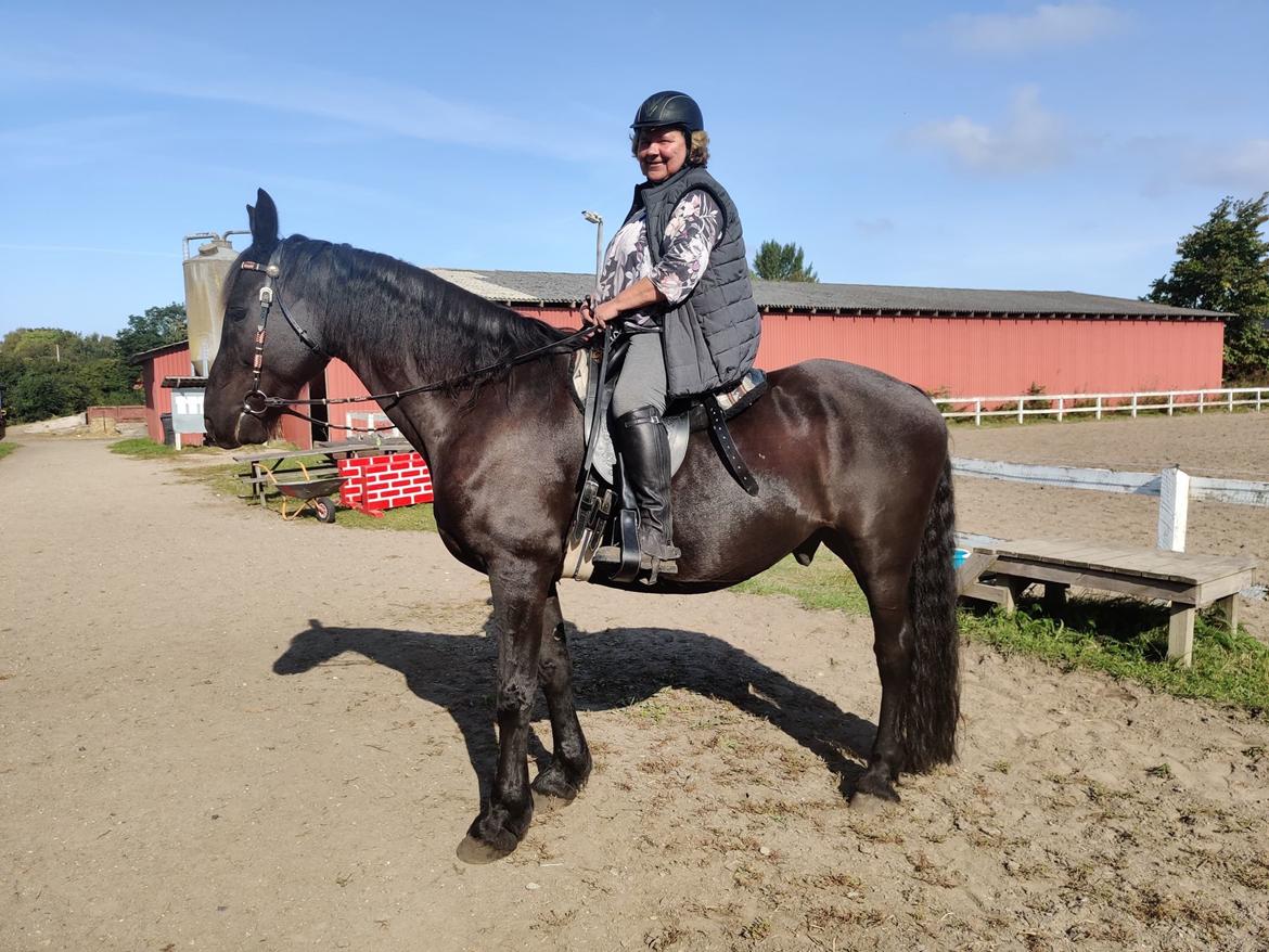 Anden særlig race Vidar billede 6