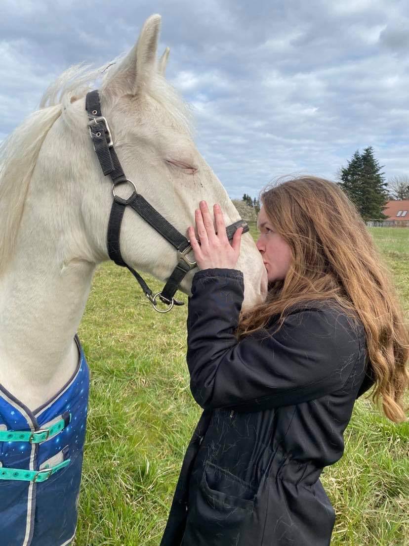 Anden særlig race Quiron Don Primero billede 5