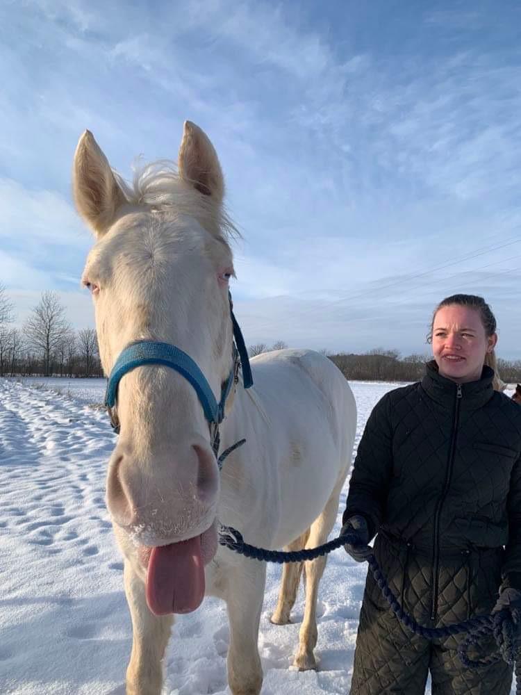 Anden særlig race Quiron Don Primero billede 7