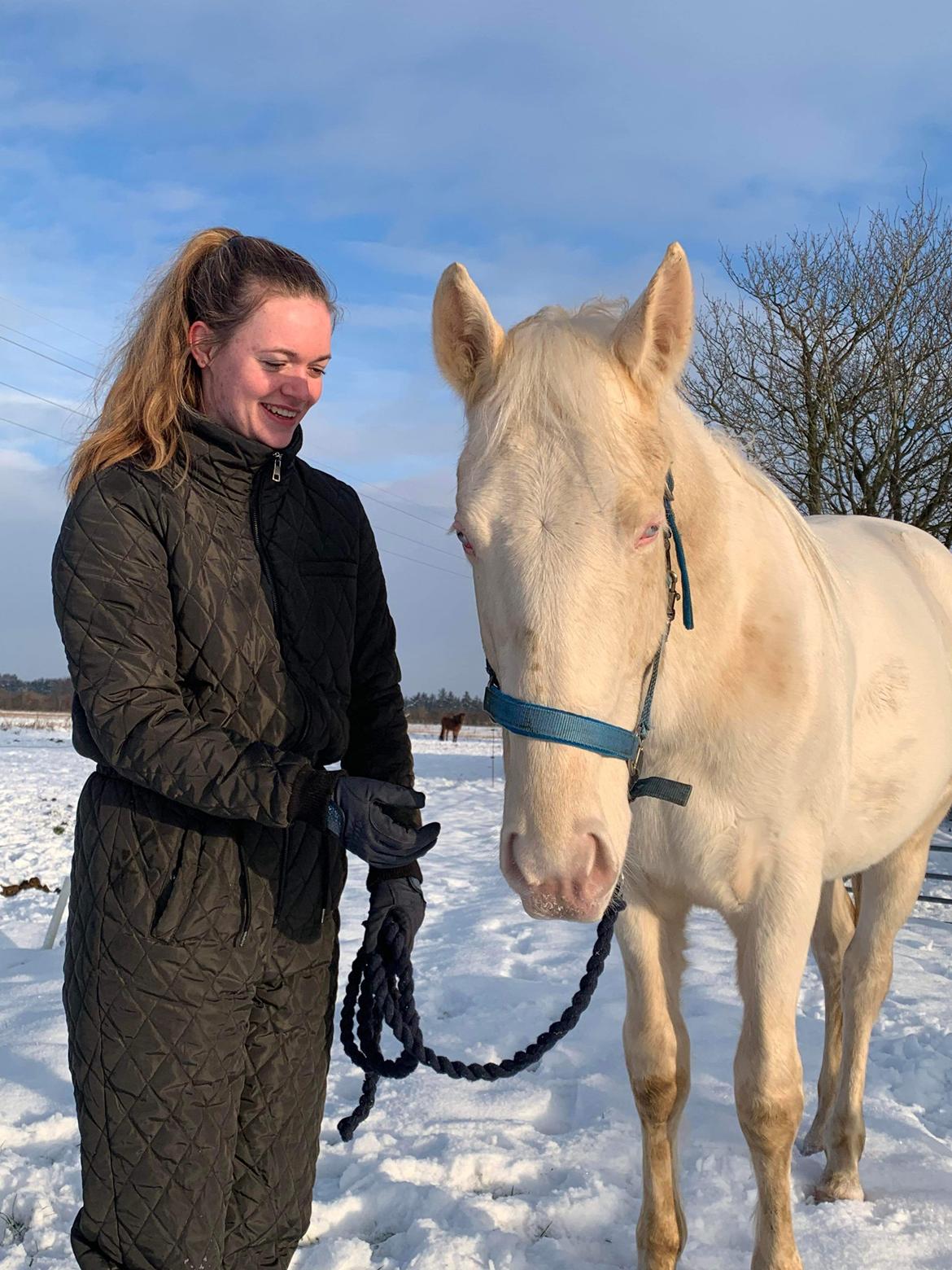 Anden særlig race Quiron Don Primero billede 8
