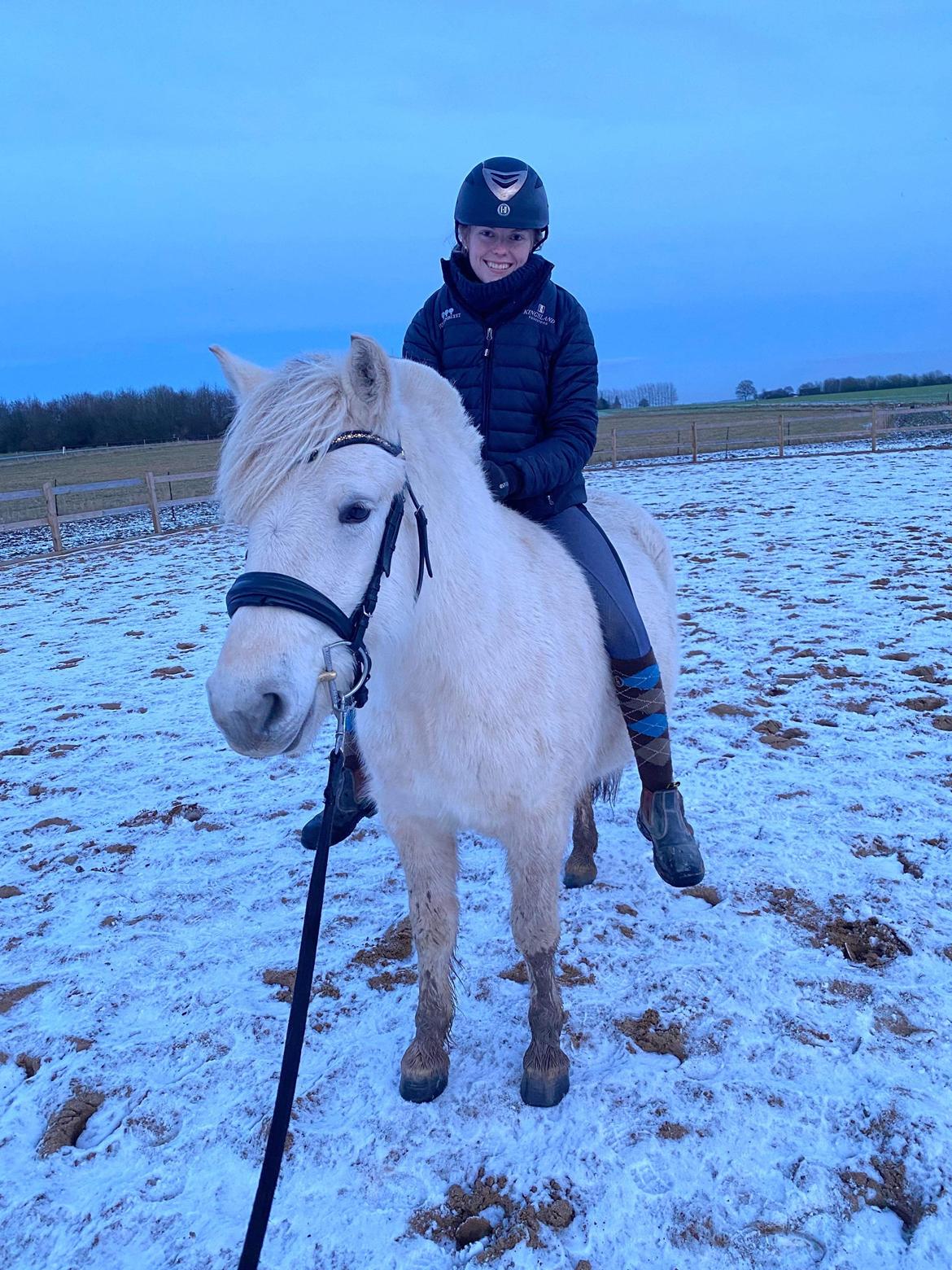 Fjordhest Søndermarkens Frey - Første gang på ryggen af ham, vinteren 2022. billede 8