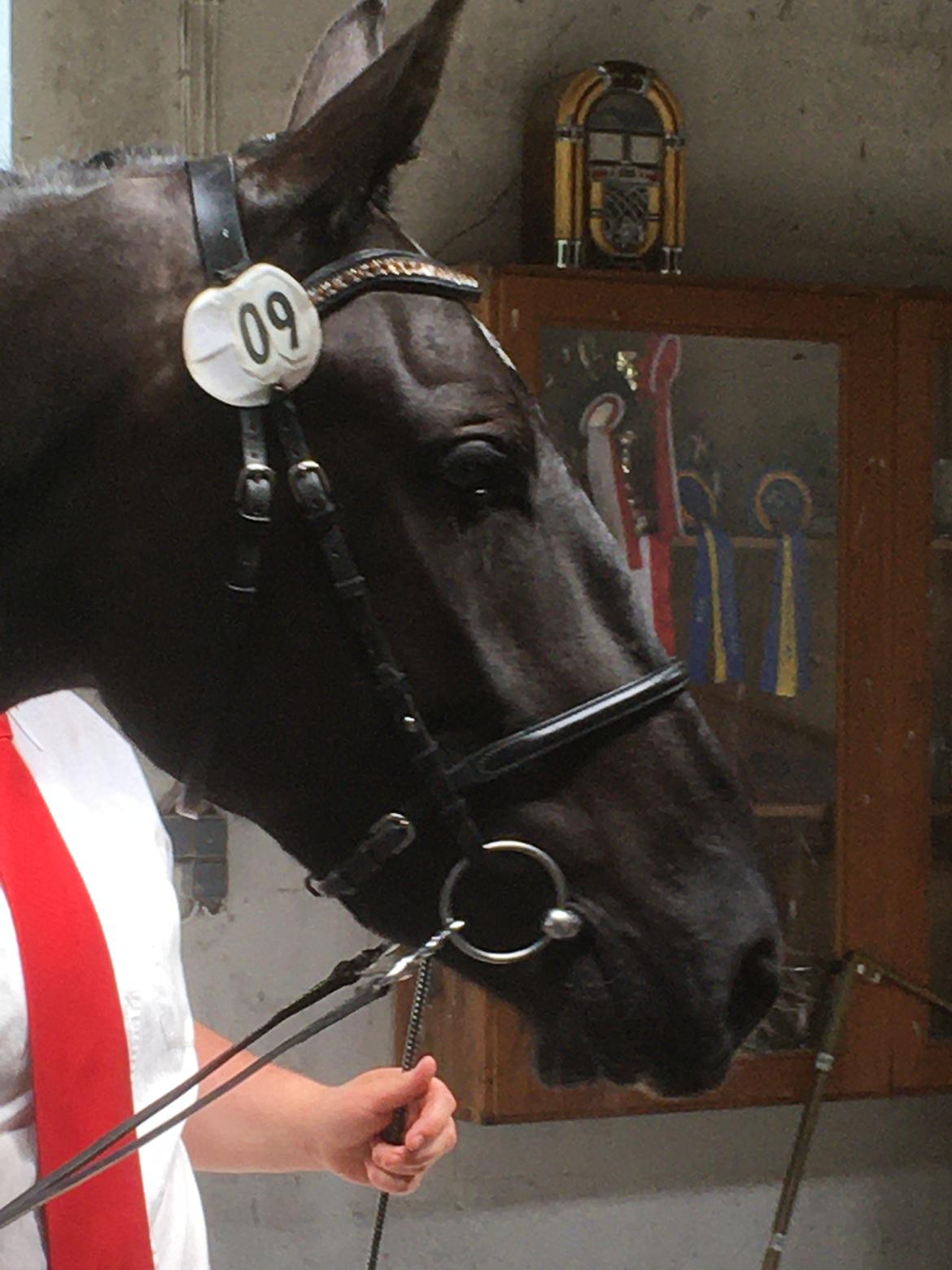 Oldenborg Siff billede 12