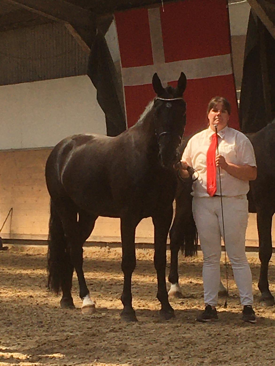 Oldenborg Siff billede 13