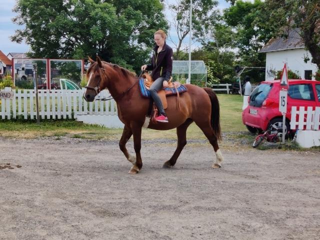 Anden særlig race McQueen  billede 4