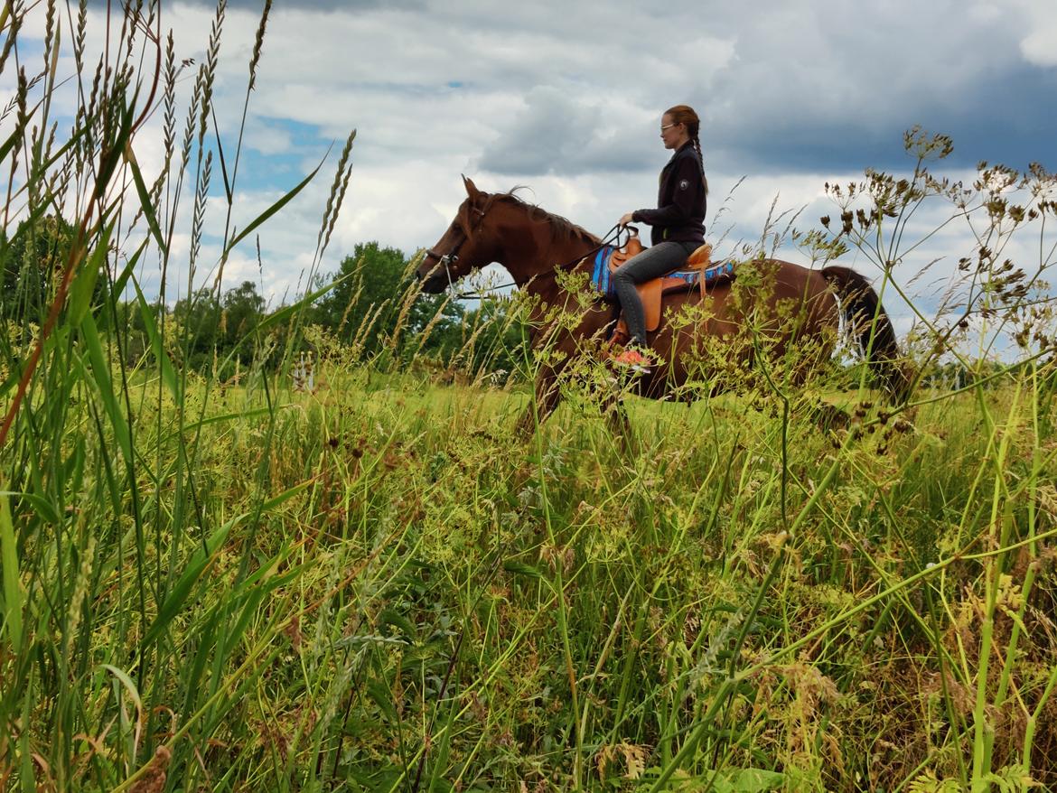 Anden særlig race McQueen  billede 5