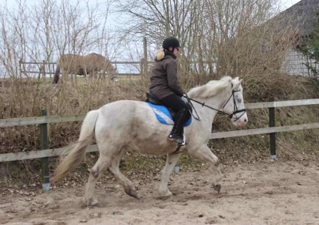 Anden særlig race Snowball  - Marts 2021 | Første tur på Sneboldt  billede 13