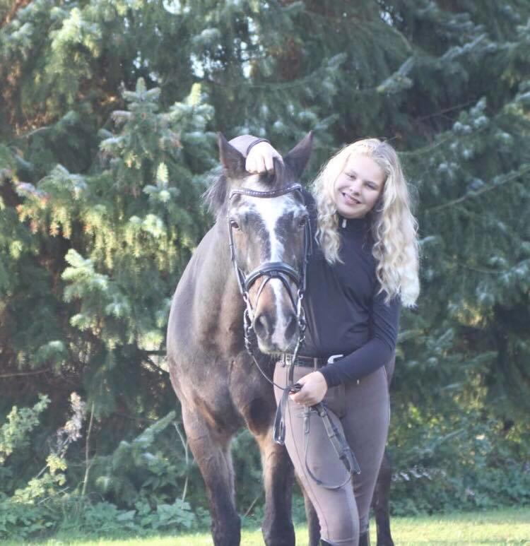 Tysk Sportspony Vämpy billede 9