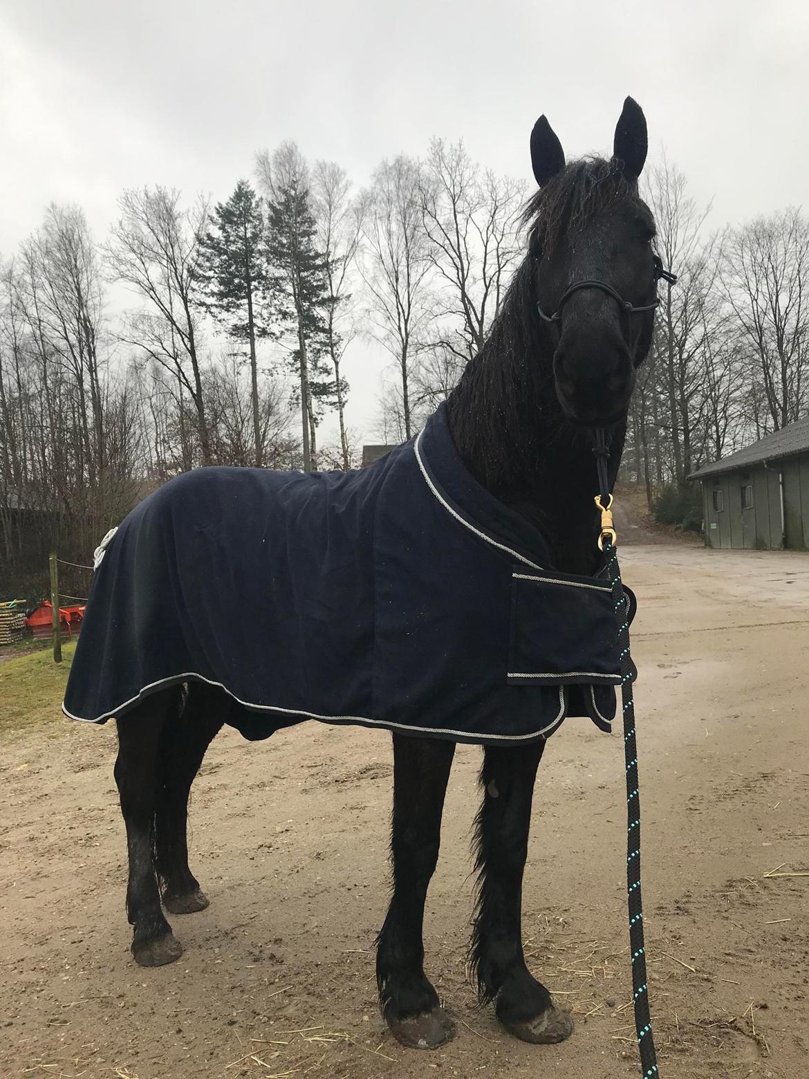 Frieser Valentino De Chanel billede 4