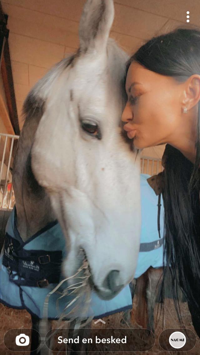 Irsk Sportshest Creagh Cash ( himmelhest d 25/11-24 R.I.P) billede 10