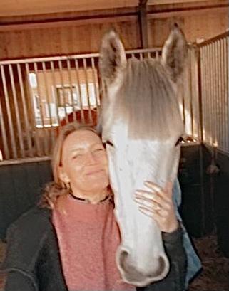 Irsk Sportshest Creagh Cash ( himmelhest d 25/11-24 R.I.P) billede 9