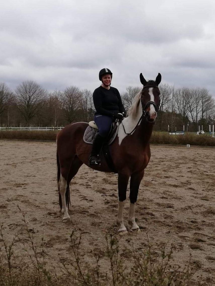 Pinto Løvegaardens Lurifax Wito billede 2