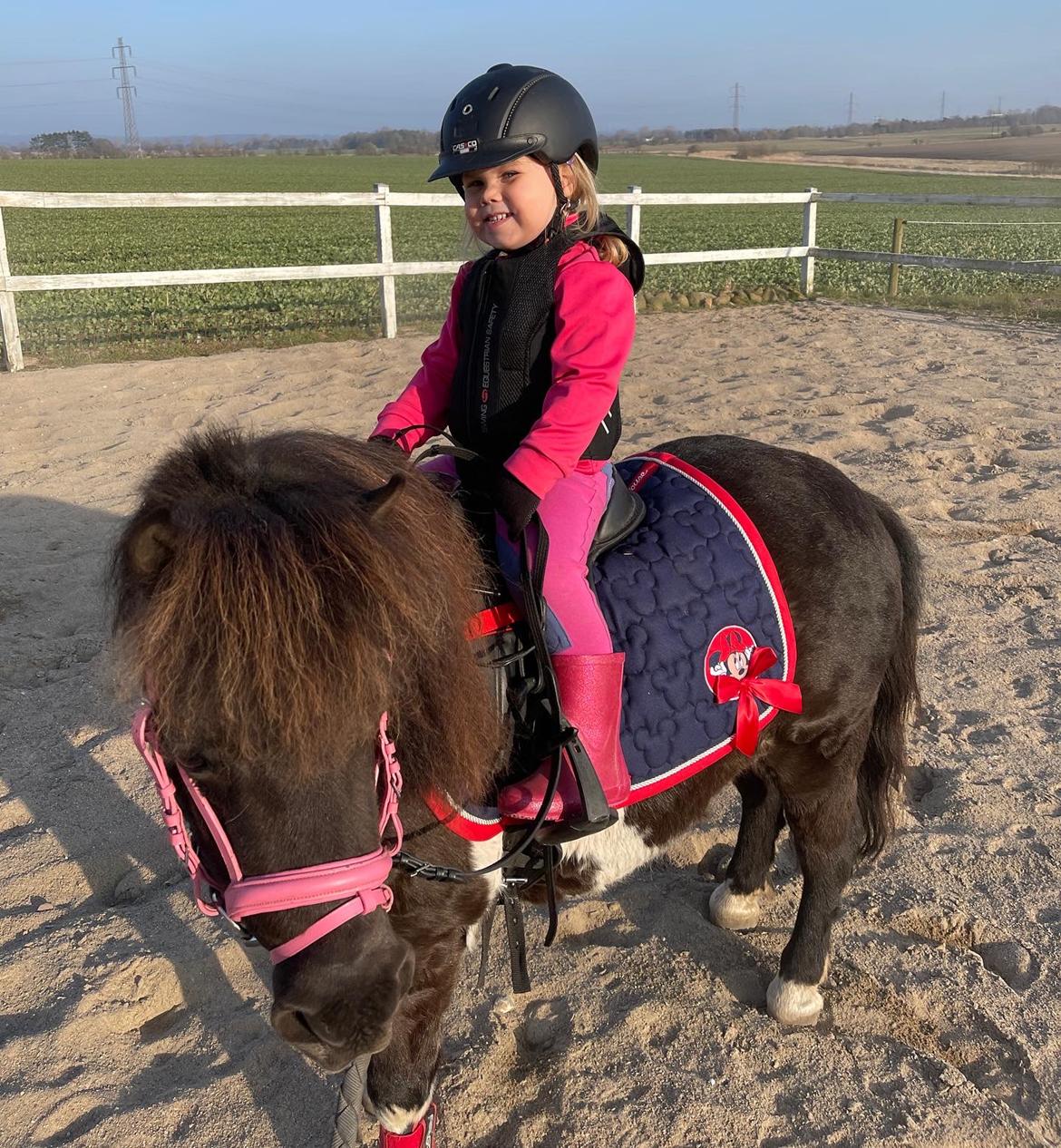 Shetlænder Viola Pilegaard billede 5