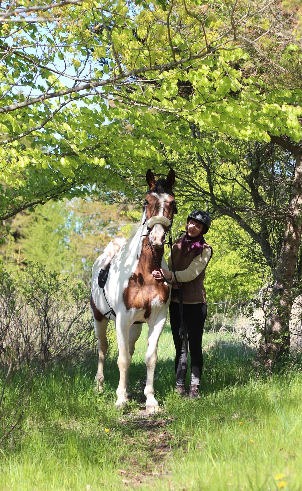 Pinto Luke - Velkommen til Lukes profil <3 billede 1