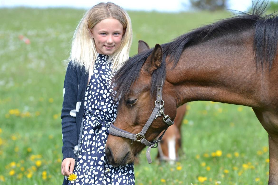 Anden særlig race Harbogaards Skumfidus billede 19