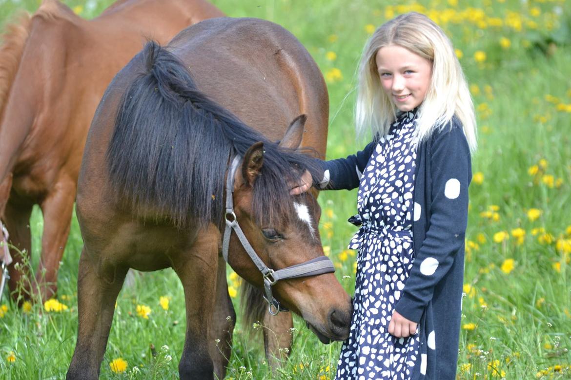 Anden særlig race Harbogaards Skumfidus billede 18