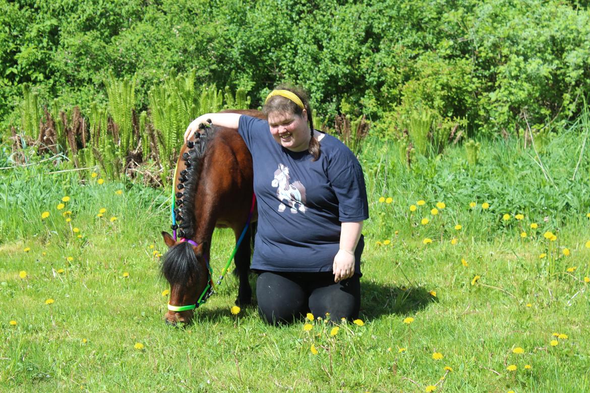 Shetlænder Thor - 17-08-2022 Årsdags fotosession med Thor i forbindelse med 3 års dag 18-05-22 billede 12