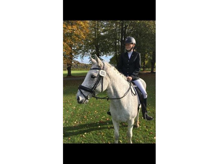 {{currentPhoto.altText}} billede {{currentPhoto.number}}