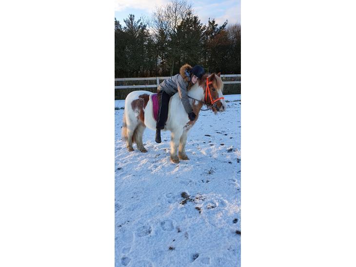 {{currentPhoto.altText}} billede {{currentPhoto.number}}