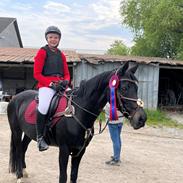 Tysk Sportspony Lady Chanel