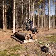 Tysk Sportspony Lady Chanel