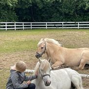Anden særlig race Silverton Phantom of the opera