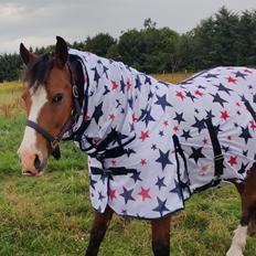 Anden særlig race Luka ( Luksen)