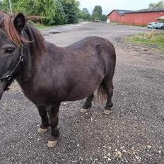 Anden særlig race I Luna