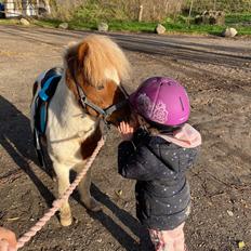 Anden særlig race Tequila solgt