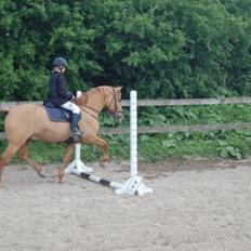 Anden særlig race Strejfer