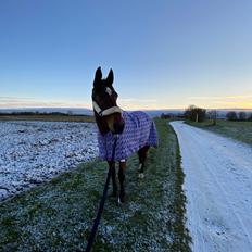 Traver Luka Østervang<3