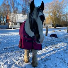 Tinker Holm's Vacinha (Minka)