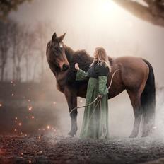 Anden særlig race Flicka <3 | Himmelhest 