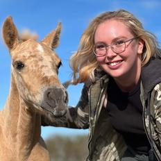 Anden særlig race Keldbæksgaard's Holger