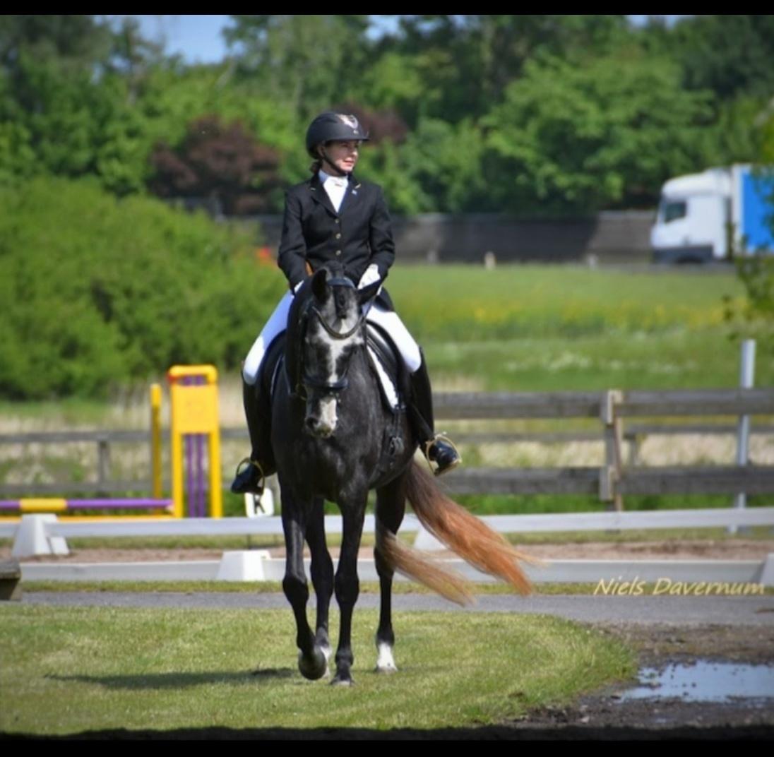 Anden særlig race Adelina(Himmelhest) - d. 28/5-22 billede 15