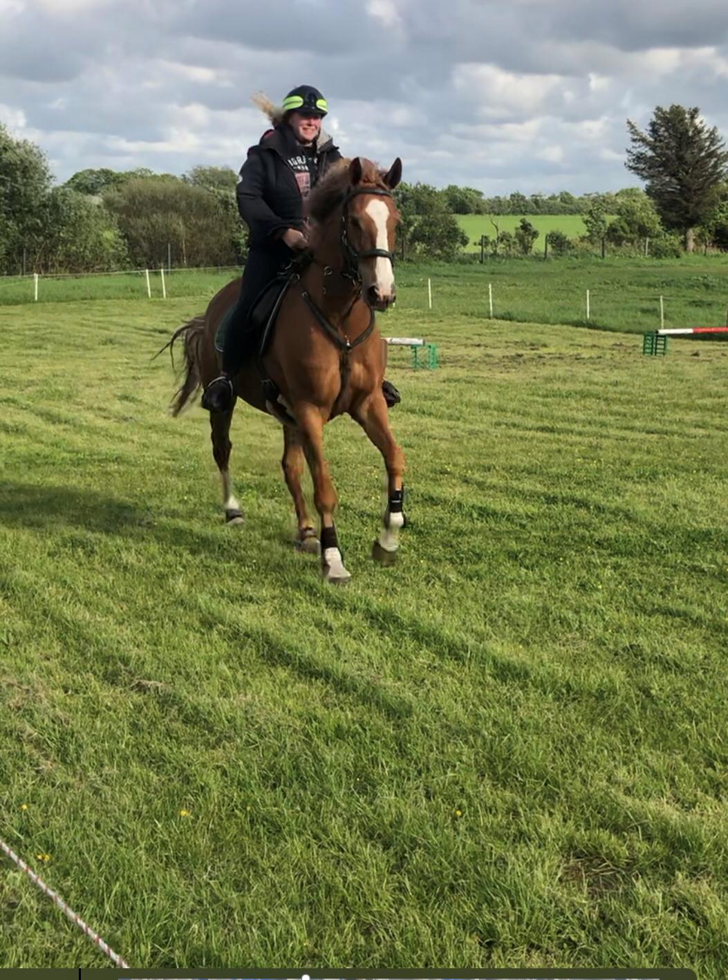 Anden særlig race Mio billede 15