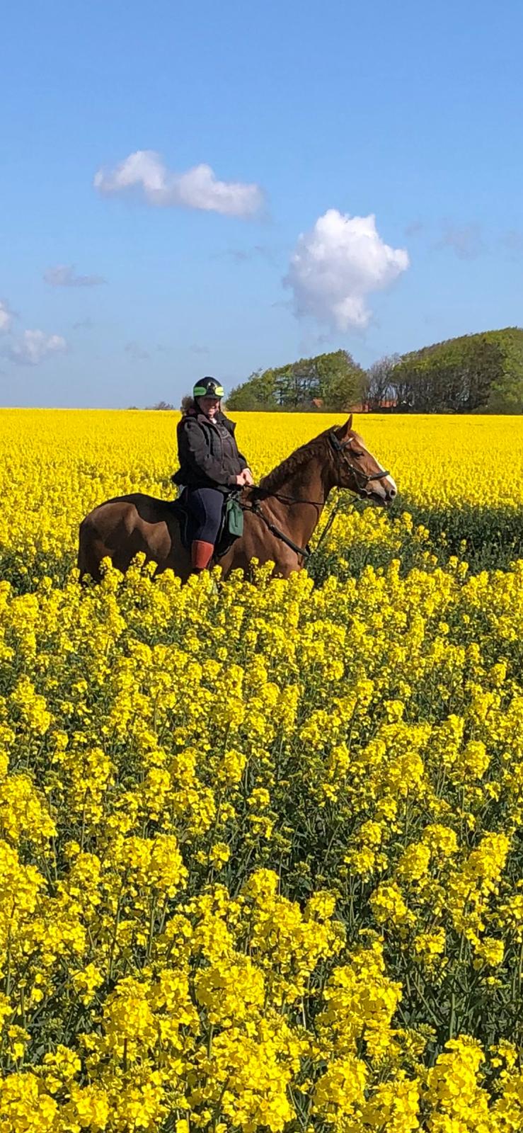 Anden særlig race Mio billede 19